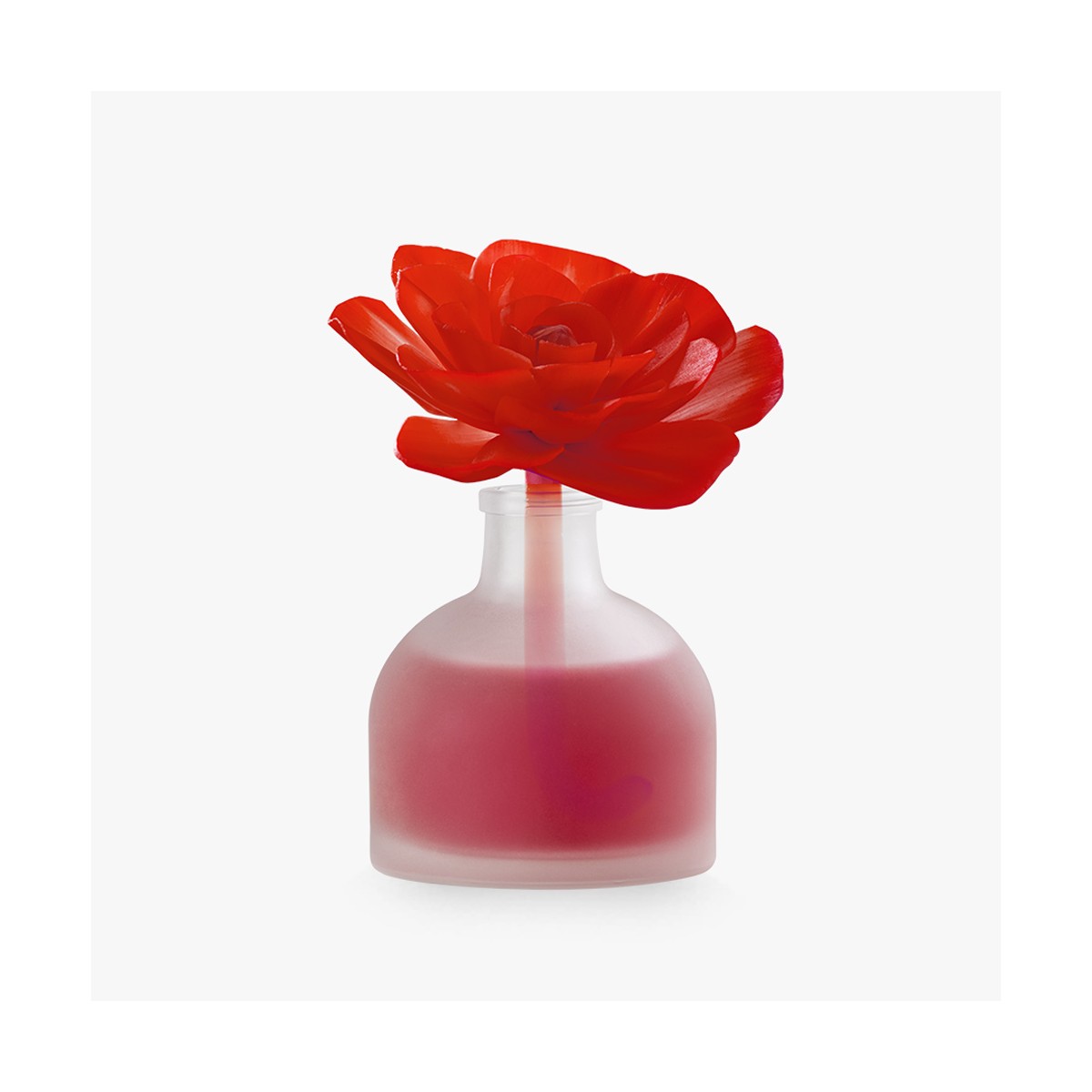 Flor Premium Jazmín Betrés ON